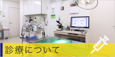 診療について