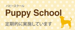 タック動物病院 パピースクール