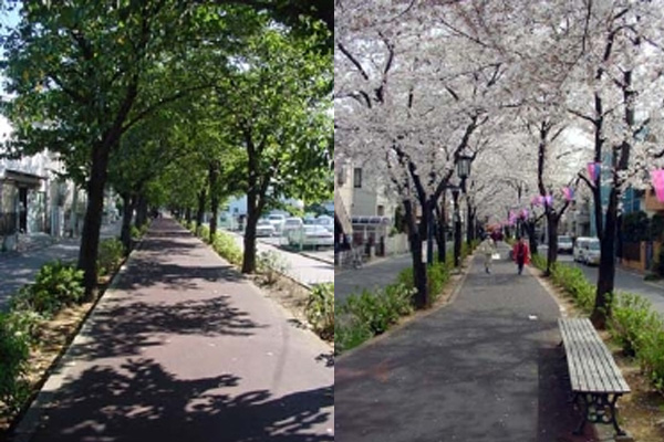 花と緑の散歩道